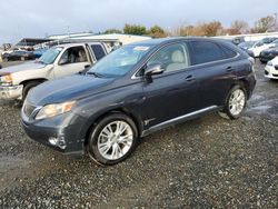 Lexus rx450 salvage cars for sale: 2010 Lexus RX 450H