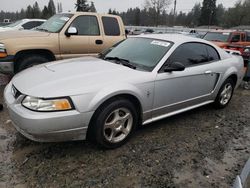 Ford Mustang Vehiculos salvage en venta: 2003 Ford Mustang