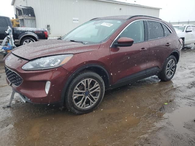 2021 Ford Escape SEL