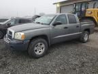 2005 Dodge Dakota Quad SLT