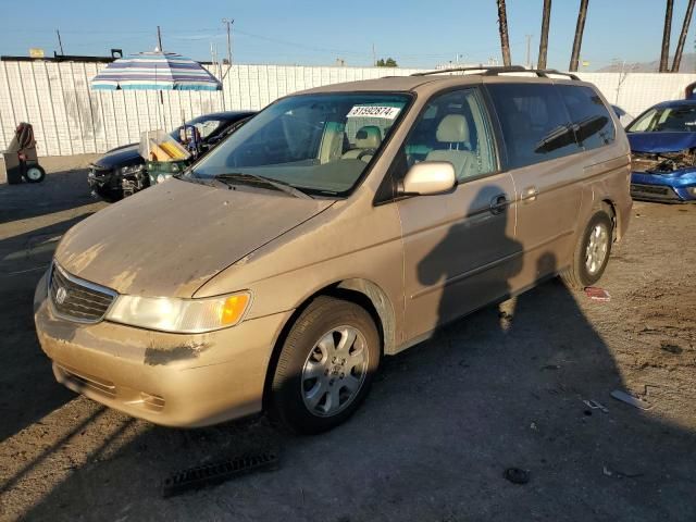 2002 Honda Odyssey EXL