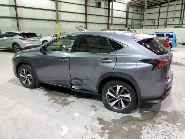 2019 Lexus NX 300 Base