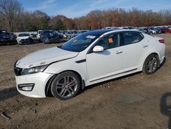 KIA Optima salvage cars for sale: 2013 KIA Optima SX