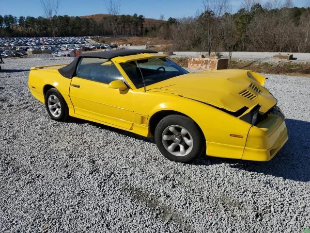 1985 Pontiac Firebird Trans AM