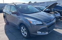 Ford Escape salvage cars for sale: 2013 Ford Escape SE