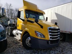 Freightliner Cascadia 126 salvage cars for sale: 2020 Freightliner Cascadia 126