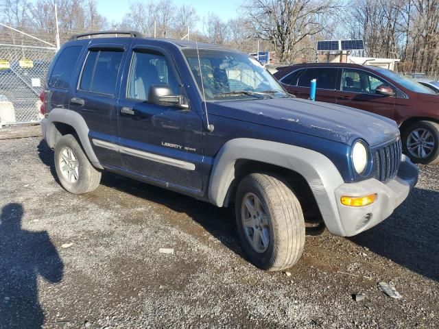 2002 Jeep Liberty Sport