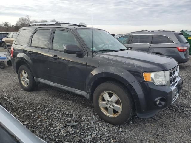 2011 Ford Escape Limited