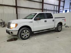 Ford f-150 salvage cars for sale: 2010 Ford F150 Supercrew