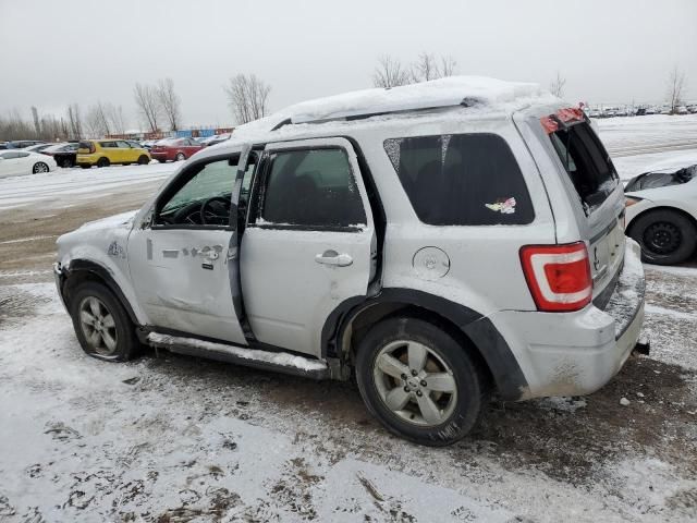 2010 Ford Escape Limited