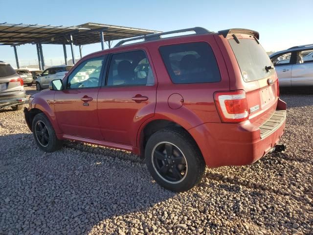 2009 Ford Escape XLT