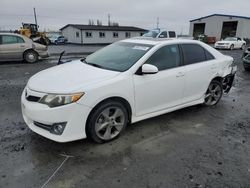 Salvage cars for sale from Copart Airway Heights, WA: 2014 Toyota Camry SE