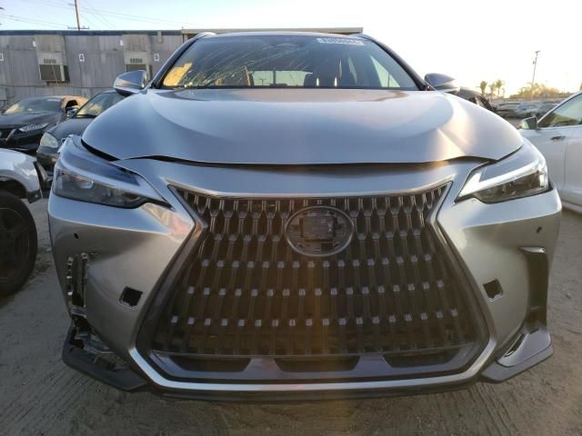 2023 Lexus NX 250