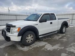 Ford salvage cars for sale: 2013 Ford F150 Super Cab