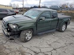 Toyota Tacoma salvage cars for sale: 2013 Toyota Tacoma