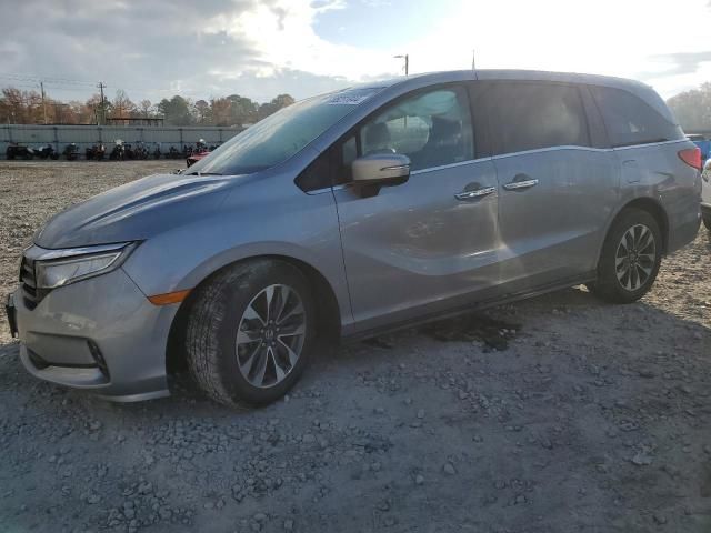 2023 Honda Odyssey EXL