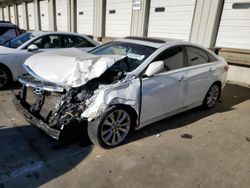 Hyundai Sonata salvage cars for sale: 2013 Hyundai Sonata SE