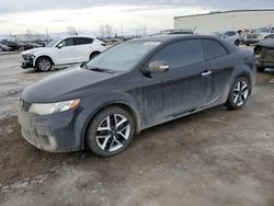 KIA Forte salvage cars for sale: 2010 KIA Forte SX