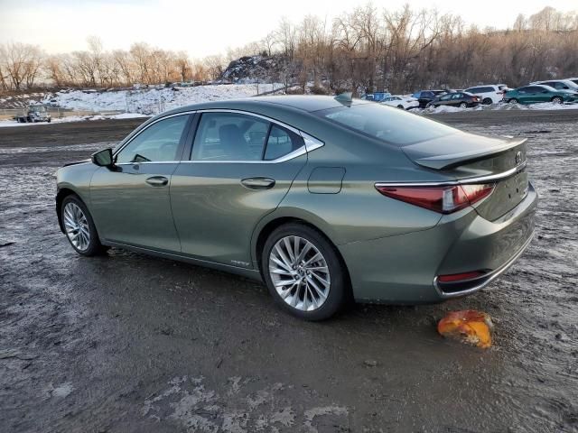 2020 Lexus ES 300H Luxury