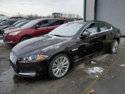 Jaguar salvage cars for sale: 2012 Jaguar XF Portfolio