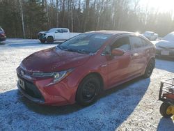 Toyota Corolla salvage cars for sale: 2021 Toyota Corolla