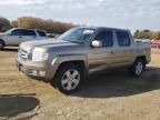 2011 Honda Ridgeline RTL