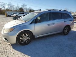 Honda Odyssey ex salvage cars for sale: 2011 Honda Odyssey EX