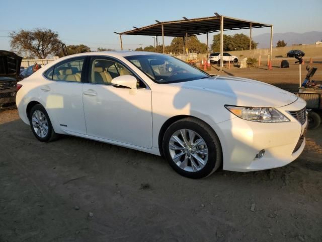 2013 Lexus ES 300H