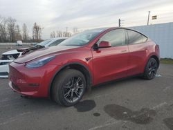 Tesla Model y salvage cars for sale: 2024 Tesla Model Y