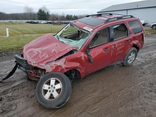 2011 Ford Escape XLT