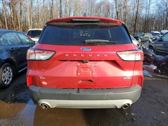 2021 Ford Escape SE