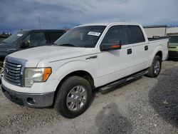 Ford f-150 salvage cars for sale: 2011 Ford F150 Supercrew