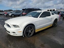 Ford salvage cars for sale: 2013 Ford Mustang