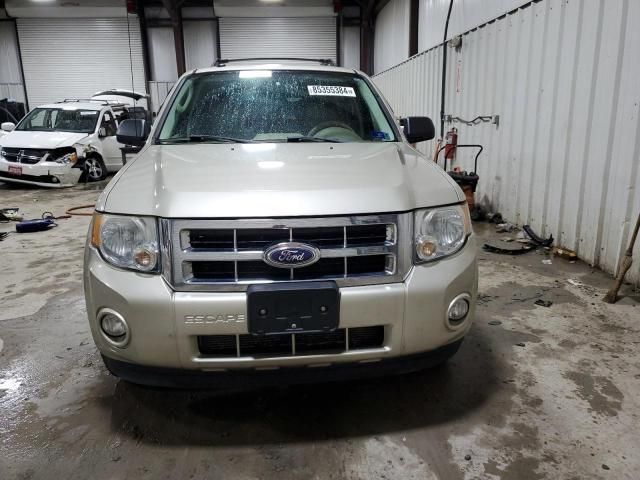 2011 Ford Escape XLT