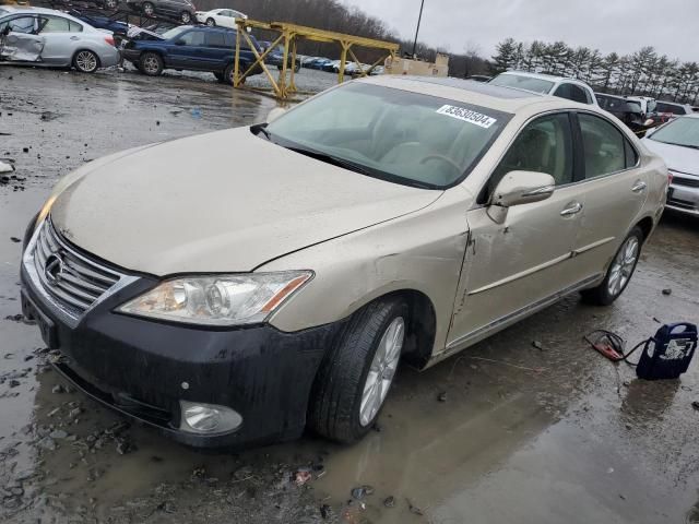 2010 Lexus ES 350