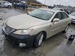 Lexus es 350 salvage cars for sale: 2010 Lexus ES 350