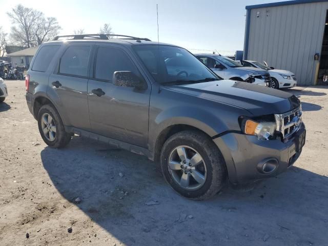 2009 Ford Escape XLT