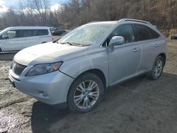 Lexus salvage cars for sale: 2010 Lexus RX 450H