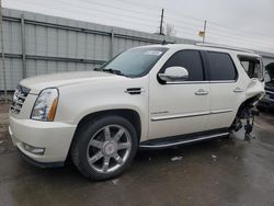 Cadillac salvage cars for sale: 2012 Cadillac Escalade Luxury