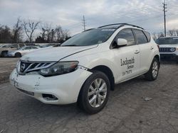 Nissan Murano salvage cars for sale: 2013 Nissan Murano S