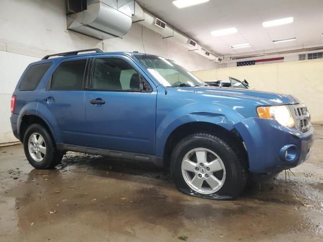 2009 Ford Escape XLT