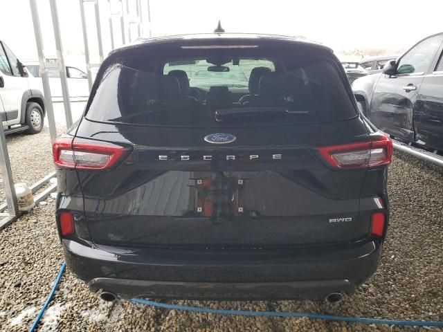 2024 Ford Escape ST Line