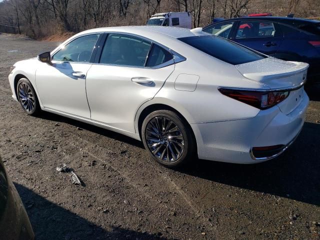 2024 Lexus ES 300H Base