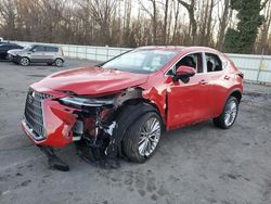 Lexus nx 350 lux salvage cars for sale: 2024 Lexus NX 350 Luxury