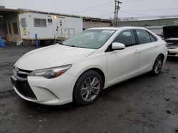 Toyota Camry salvage cars for sale: 2015 Toyota Camry LE