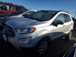 Ford Ecosport salvage cars for sale: 2021 Ford Ecosport SE