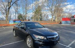 Honda salvage cars for sale: 2012 Honda Accord EXL