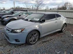 Scion salvage cars for sale: 2013 Scion TC