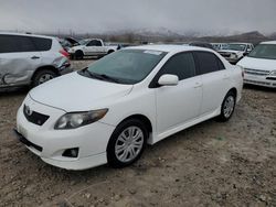 Toyota salvage cars for sale: 2009 Toyota Corolla Base