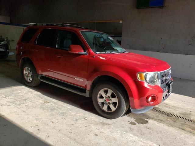 2010 Ford Escape Limited